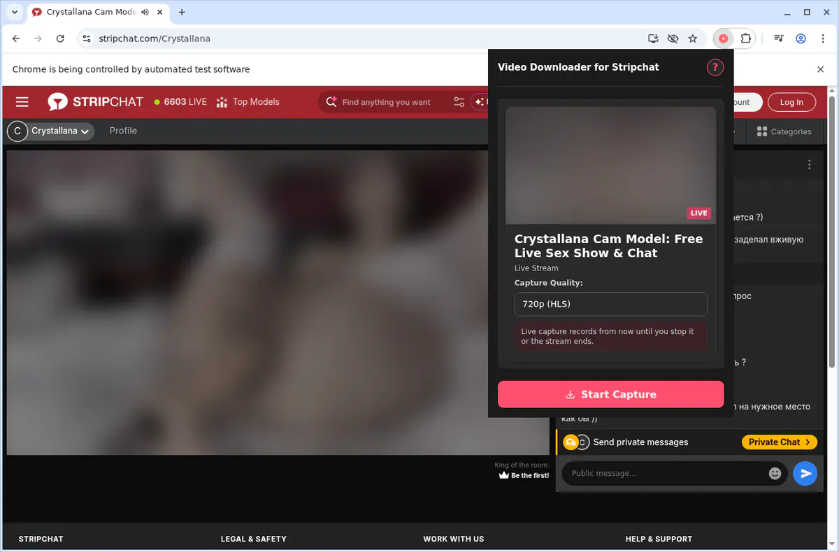 Stripchat Video Downloader screenshot 4